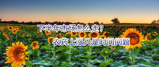 下半年市場怎么走？農(nóng)藥上漲只是時間問題