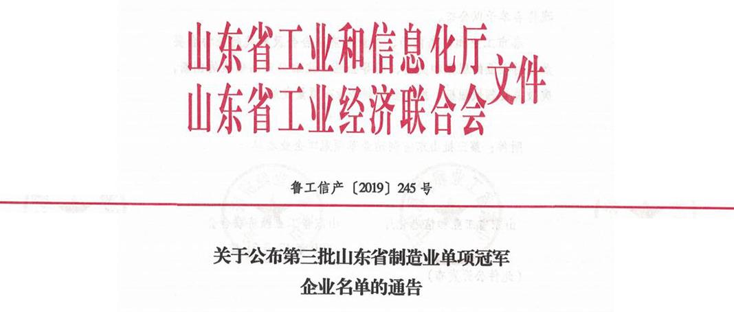集團(tuán)榮獲山東省第三屆制造業(yè)“單項冠軍”企業(yè)榮譽(yù)稱號