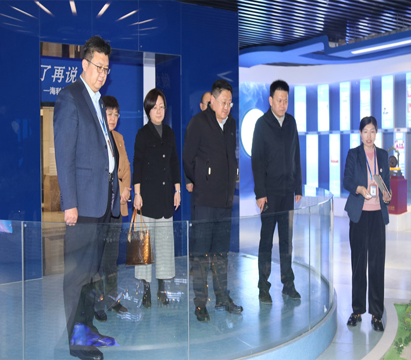 青島市民營經濟發(fā)展局郭局長一行來集團調研指導